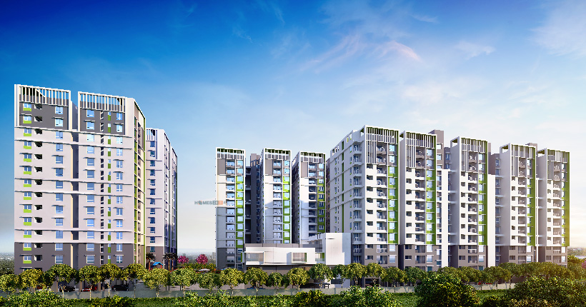 RWD GrandCorridor Cover Image